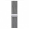 Apple Watch Ultra 49mm Titanium Case with Silver Milanese Loop