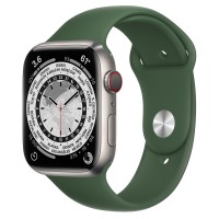 Apple Watch Series 7 41 мм, Титановые, спортивный ремешок «Кипрский зелёный»