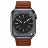 Apple Watch Series 9 41mm, нержавеющая сталь графитового цвета, кожаный коричневый ремешок