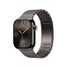 Apple Link Bracelet 42mm для Apple Watch - Slate (Черный) Apple Link Bracelet 42mm для Apple Watch - Slate (Черный)