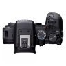 Canon EOS R10 Mirrorless Camera + RF-S 18-45mm F4.5-6.3 IS STM Lens + Mount Adapter EF-EOS R + Backpack + SD Card + Spare Battery