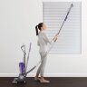 Вертикальный пылесос Dyson Ball Animal Origin