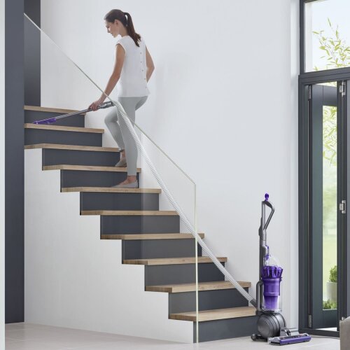 Вертикальный пылесос Dyson Ball Animal Origin