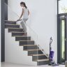 Вертикальный пылесос Dyson Ball Animal Origin