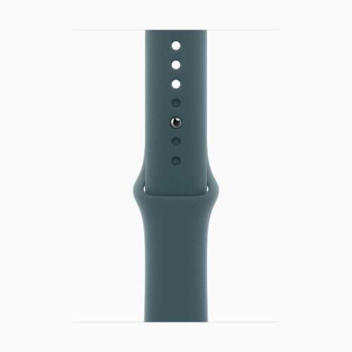 Apple Watch Series 10 42mm, Natural Titanium Case with Sport Band - Lake Green
