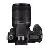 Canon EOS 90D + EF-S 18-135mm f/3.5-5.6 IS USM Kit