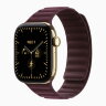 Apple Watch Series 12 42mm, Radiant Gold Titanium Case with Magnetic Link - Burgundy