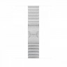 Apple Watch Ultra 2 49mm Titanium Case with Silver Link Bracelet