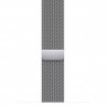 Apple Watch Ultra 2 49mm Titanium Case with Silver Milanese Loop