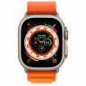 Apple Watch Ultra 2 49mm Titanium Case with Orange Alpine Loop (L)