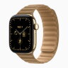 Apple Watch Series 12 42mm, Radiant Gold Titanium Case with Magnetic Link - Camel