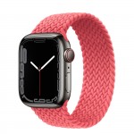 Apple Watch Series 7 41 мм, Graphite Stainless Steel, плетеный монобраслет «Розовый пунш»