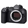 Canon EOS R6 Mark II Mirrorless Camera, Black + Backpack + SD Card + Spare Battery