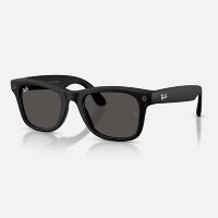 Ray-Ban Meta Gen 3 Wayfarer (черный матовый / серые)