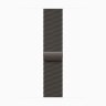 Apple Watch Series 10 46mm, Slate Titanium, Slate Milanese Loop
