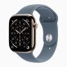 Apple Watch Series 11 42mm, Gold Titanium Case with Sport Band - Anchor Blue