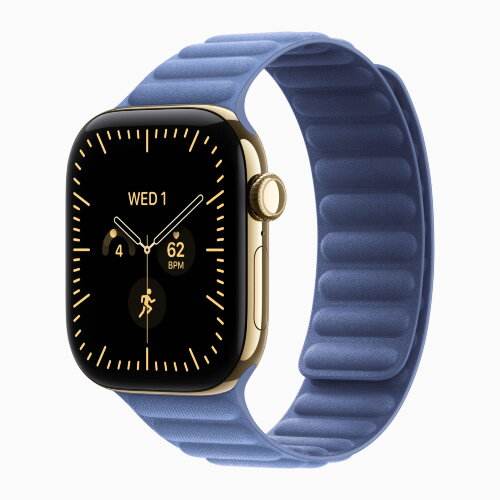 Apple Watch Series 12 46mm, Radiant Gold Titanium Case with Magnetic Link - Wildflower Blue