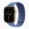 Apple Watch Series 12 46mm, Radiant Gold Titanium Case with Magnetic Link - Wildflower Blue