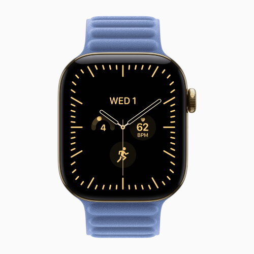 Apple Watch Series 12 46mm, Radiant Gold Titanium Case with Magnetic Link - Wildflower Blue