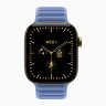 Apple Watch Series 12 46mm, Radiant Gold Titanium Case with Magnetic Link - Wildflower Blue