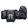 Canon EOS R6 Mark II Mirrorless Camera + RF 24-105mm F4L IS USM Lens
