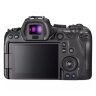 Canon EOS R6 Mirrorless Camera + RF 24-105mm F4-7.1 IS STM Lens