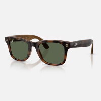 Ray-Ban Meta Gen 3 Wayfarer (Havana полированный / G-15 зеленые)