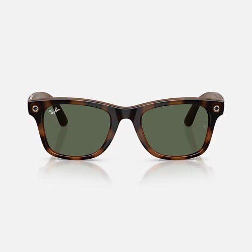 Ray-Ban Meta Gen 3 Wayfarer (Havana полированный / G-15 зеленые)