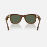 Ray-Ban Meta Gen 3 Wayfarer (Havana полированный / G-15 зеленые)