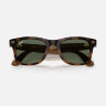 Ray-Ban Meta Gen 3 Wayfarer (Havana полированный / G-15 зеленые)