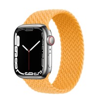 Apple Watch Series 7 41 мм, Silver Stainless Steel, плетеный монобраслет «Спелый маис»