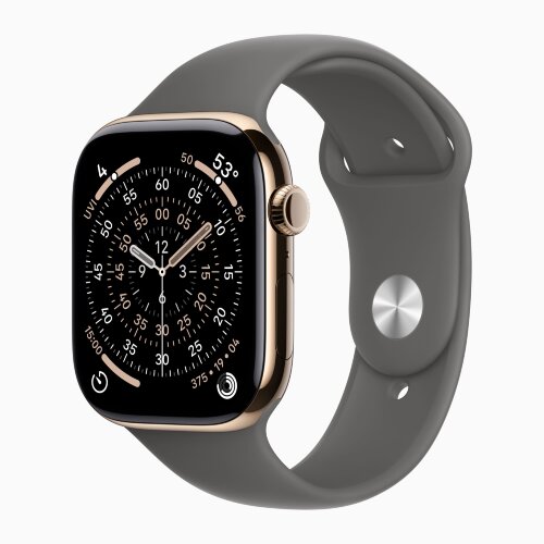 Apple Watch Series 11 42mm, Gold Titanium Case with Sport Band - Stone Gray