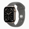 Apple Watch Series 11 42mm, Gold Titanium Case with Sport Band - Stone Gray