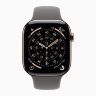 Apple Watch Series 11 42mm, Gold Titanium Case with Sport Band - Stone Gray