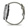 Умные часы Garmin Venu 4 45mm, Silver, Silver Gray Silicone Band