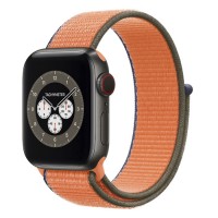 Apple Watch Edition Series 6 Titanium Space Black 40mm, спортивный браслет "кумкват"