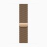 Apple Watch Series 10 42mm, Natural Titanium, Gold Milanese Loop