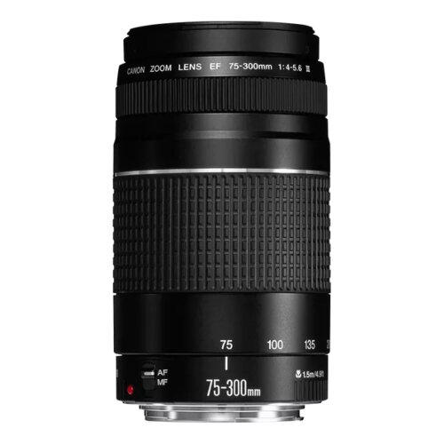 Объектив Canon EF 75-300mm f/4-5.6 III