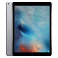 Apple iPad Pro 256GB Wi-Fi Space Gray / Черный
