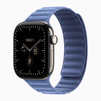 Apple Watch Series 12 46mm, Natural Titanium Case with Magnetic Link - Wildflower Blue
