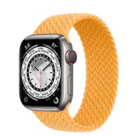 Apple Watch Series 7 41 мм, Titanium, плетеный монобраслет «Спелый маис»