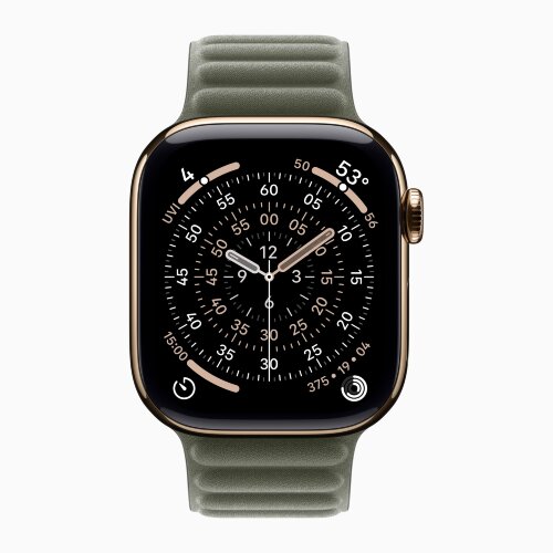 Apple Watch Series 11 42mm, Gold Titanium Case with Magnetic Link - Sage Gray