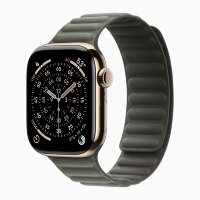Apple Watch Series 11 42mm, Gold Titanium Case with Magnetic Link - Sage Gray
