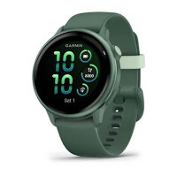 Умные часы Garmin Vivoactive 6 Metallic Jasper Green, Jasper Green Band