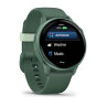 Умные часы Garmin Vivoactive 6 Metallic Jasper Green, Jasper Green Band
