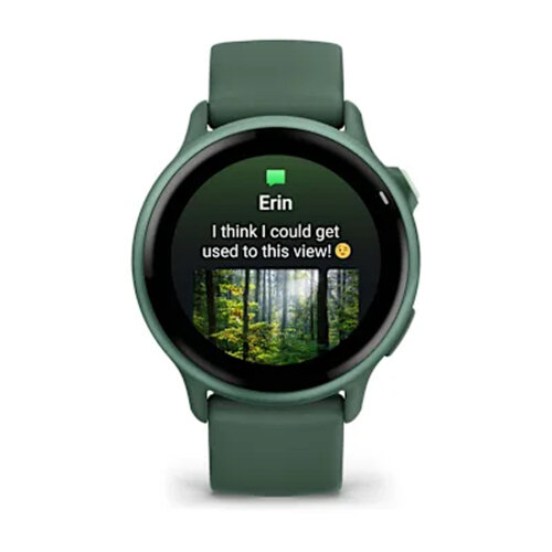 Умные часы Garmin Vivoactive 6 Metallic Jasper Green, Jasper Green Band
