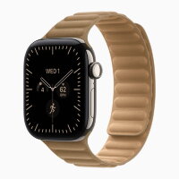 Apple Watch Series 12 46mm, Natural Titanium Case with Magnetic Link - Camel