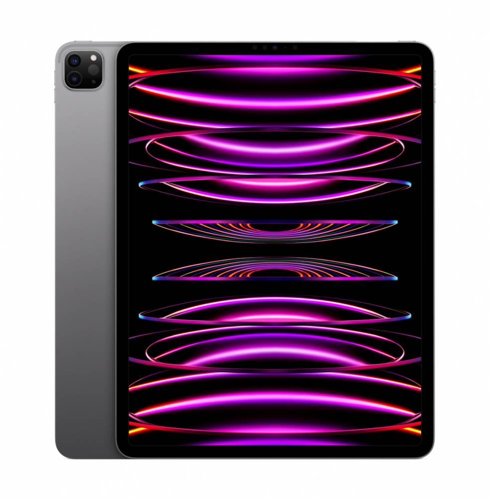 Купить Apple iPad Pro 12.9 Space Grey, 256GB, WiFi в Москве цена