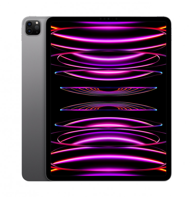 Купить Apple iPad Pro 12.9 Space Grey, 256GB, WiFi в Москве цена