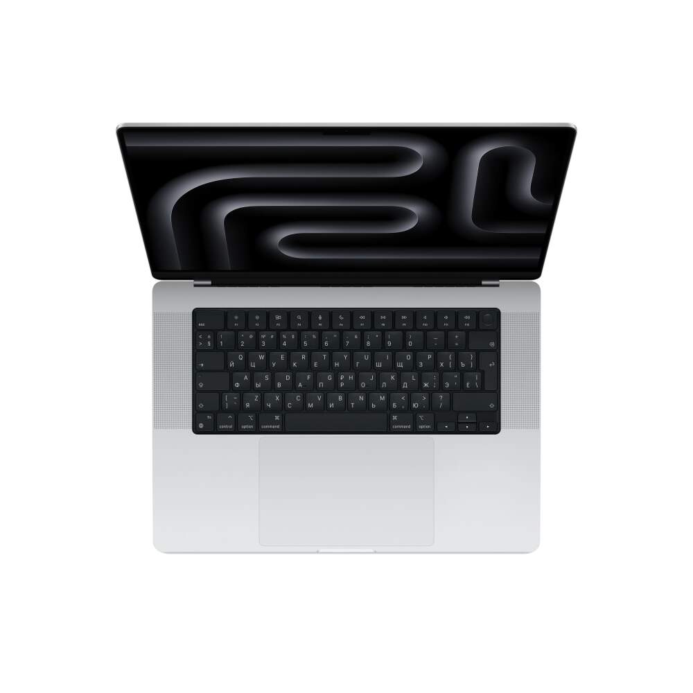 Купить MacBook Pro 16 M4 Max Silver (RU) 64GB, 1TB, 16 CPU, 40 GPU